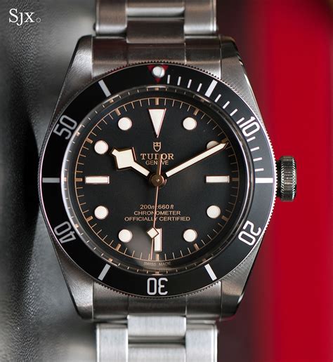 tudor black bay falso|tudor rose black bay.